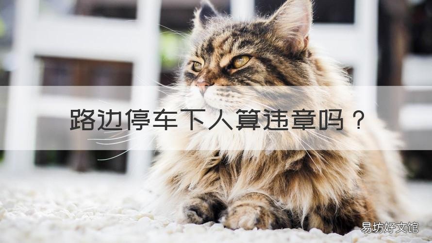 路边停车下人算违章吗 路边靠边停车下人算违章吗