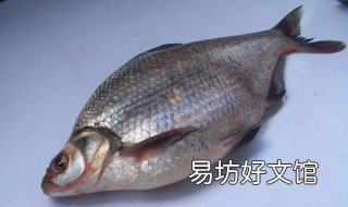 钓鳊鱼技巧 秋冬季钓鳊鱼技巧