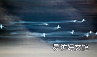 慢门天鹅轨迹拍摄技巧 拍摄天鹅慢门获奖照片