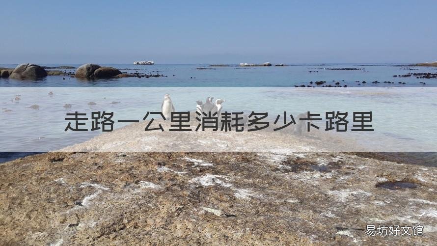 走路一公里消耗多少卡路里 走路一公里能消耗多少卡路里