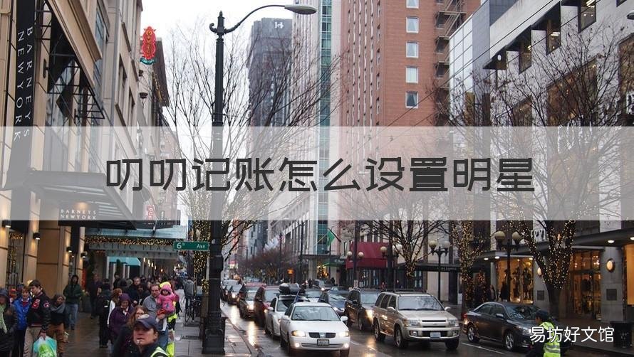 叨叨记账怎么设置明星 叨叨记账怎么换爱豆