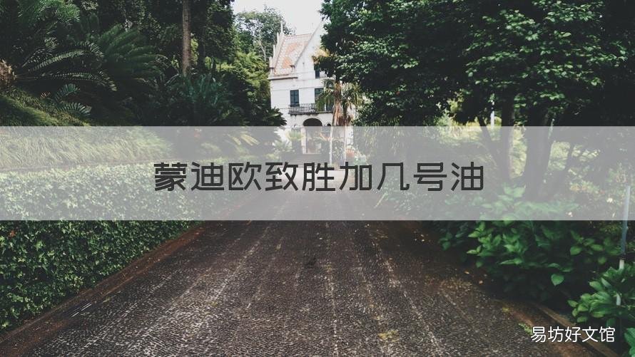 蒙迪欧致胜加几号油 12年蒙迪欧致胜加几号油