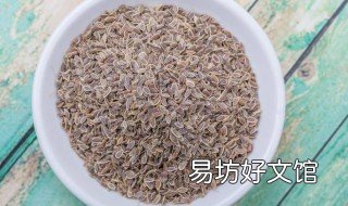 干燥种子呼吸吗 种子干燥的方法有