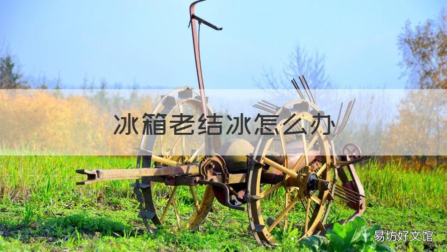 冰箱老结冰怎么办 冰箱老结冰怎么办视频