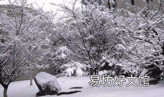 下雪早晨问候语 下雪的清晨问候语