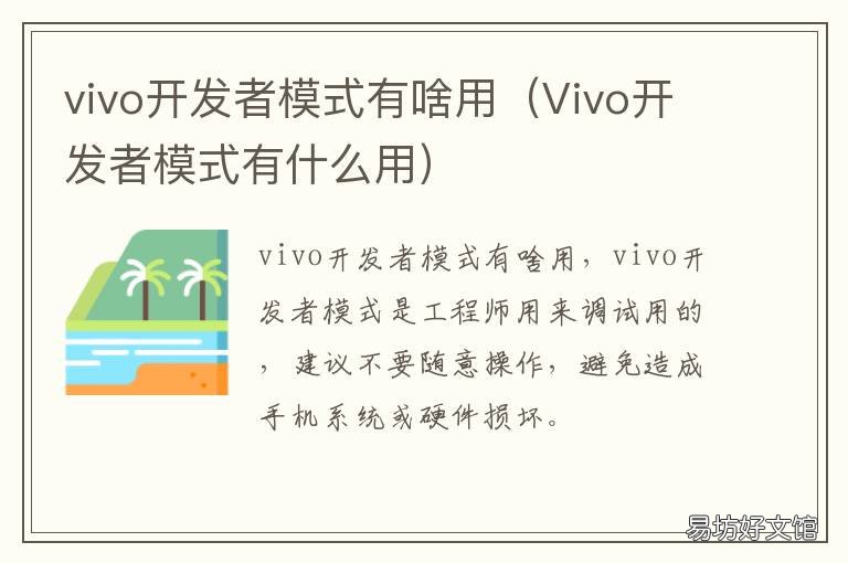 vivo开发者模式有啥用 vivo开发者模式有什么用