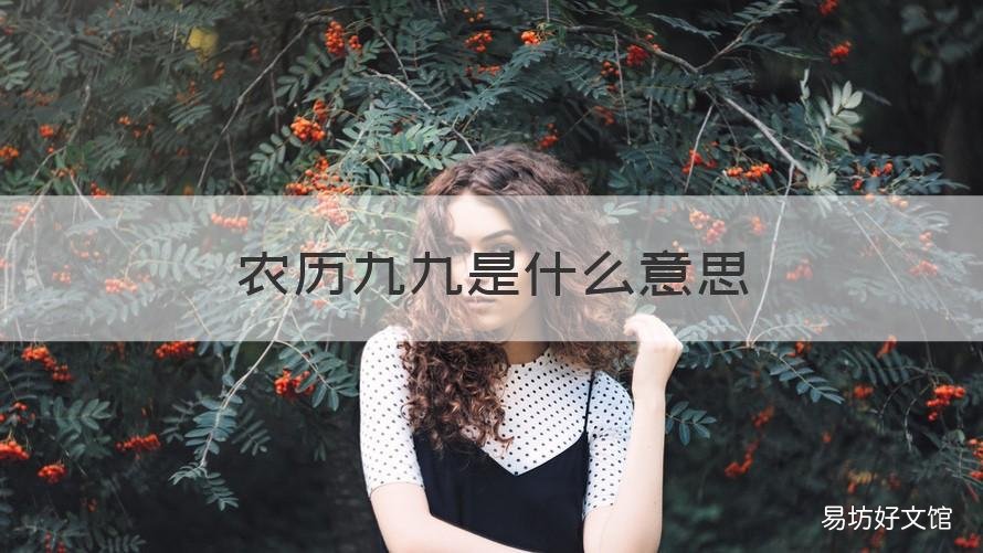 农历九九是什么意思 农历中九九是指什么
