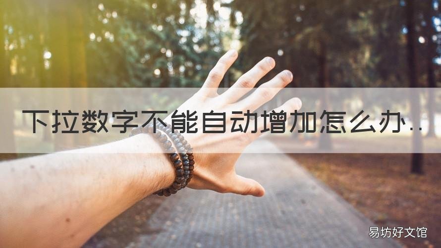 下拉数字不能自动增加怎么办 怎么往下拉上数字增加