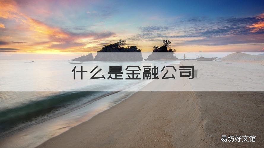 什么是金融公司 什么是金融公司贷款