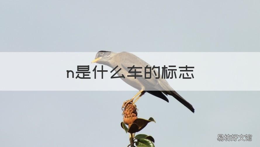 n是什么车的标志 汽车n的标志是什么车