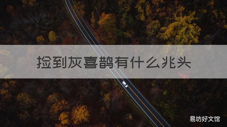捡到灰喜鹊有什么兆头 捡到喜鹊有什么预兆