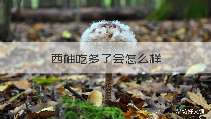 西柚吃多了会怎么样 西柚喝多了会怎样?