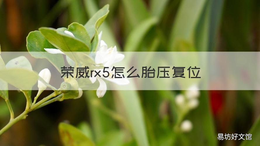 荣威rx5怎么胎压复位 荣威RX5怎么胎压复位