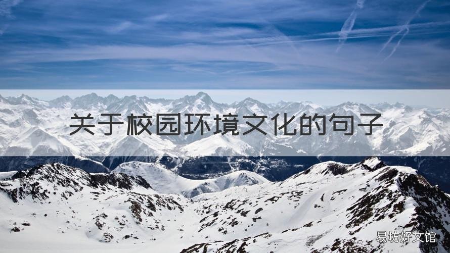 关于校园环境文化的句子 校园环境的优美句子