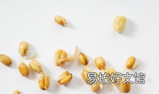 小麦胚芽怎么吃 生的小麦胚芽怎么吃