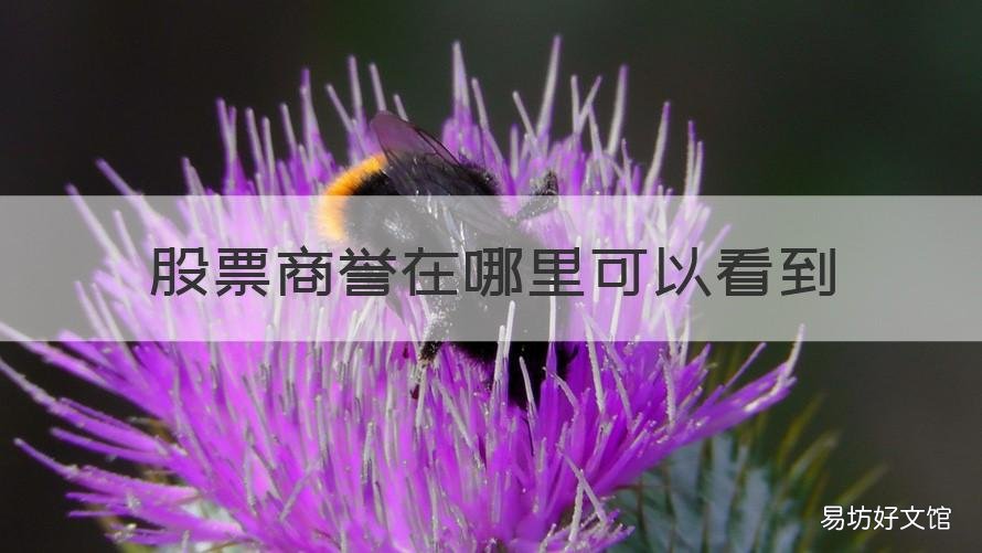 股票商誉在哪里可以看到 怎么看股票商誉