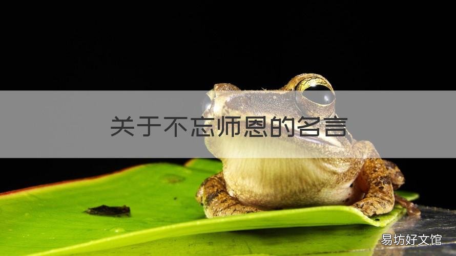 关于不忘师恩的名言 关于不忘师恩的名言名句