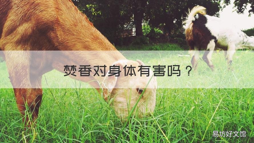 焚香对身体有害吗 古人焚香对身体有害吗