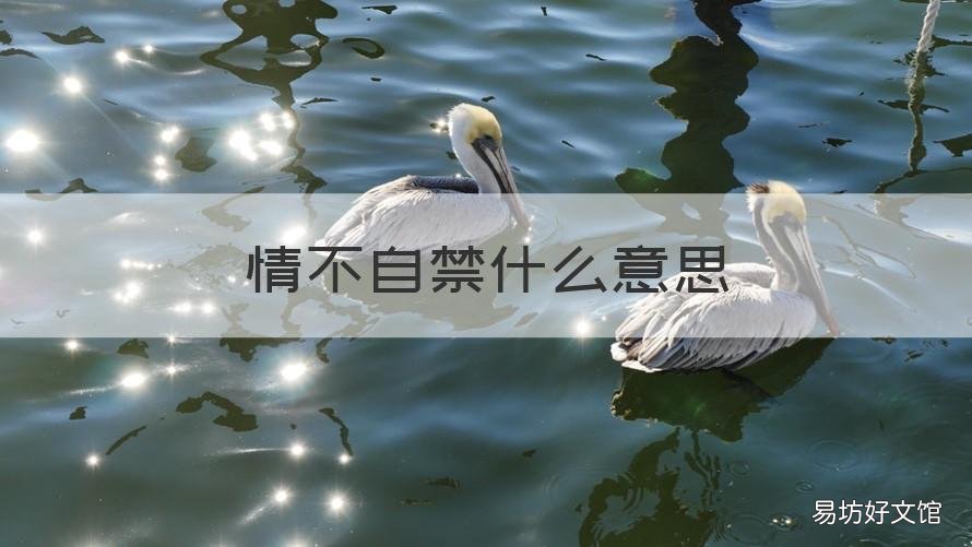 情不自禁什么意思 情不自禁什么意思解释