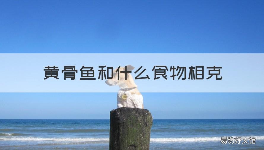 黄骨鱼和什么食物相克 黄骨鱼和什么食物相克不能吃