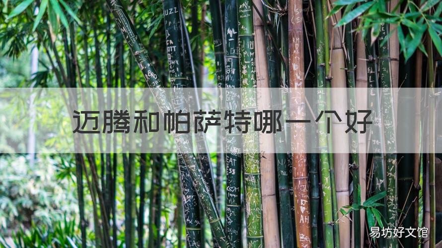 迈腾和帕萨特哪一个好 迈腾跟帕萨特哪个好