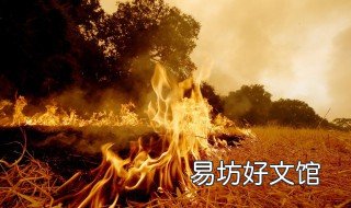 发生火灾时怎么办 当你所在的高楼发生火灾时怎么办