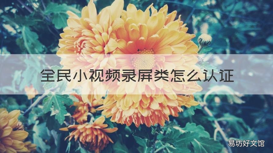 全民小视频录屏类怎么认证 全民小视频认证视频怎么拍
