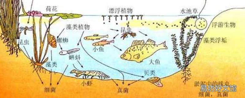 八大生态系统 八大生态系统的主要作用