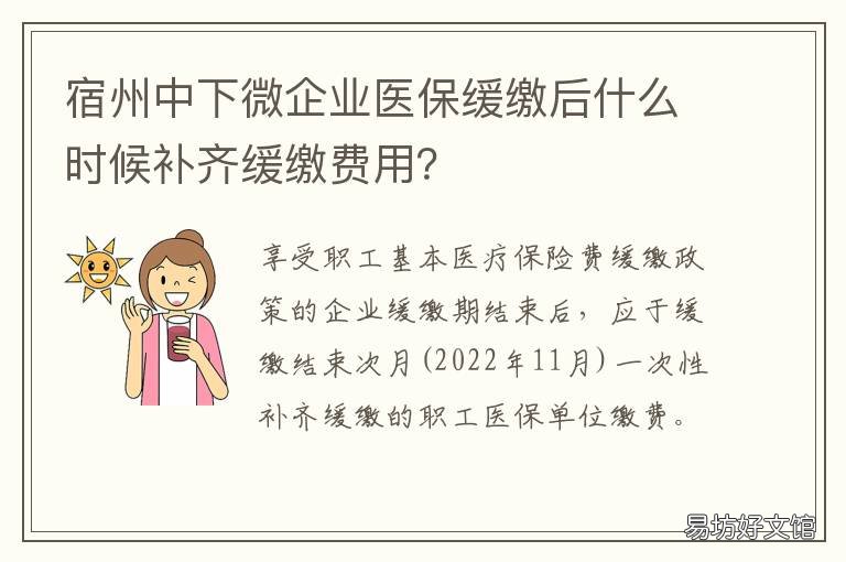 宿州中下微企业医保缓缴后什么时候补齐缓缴费用?