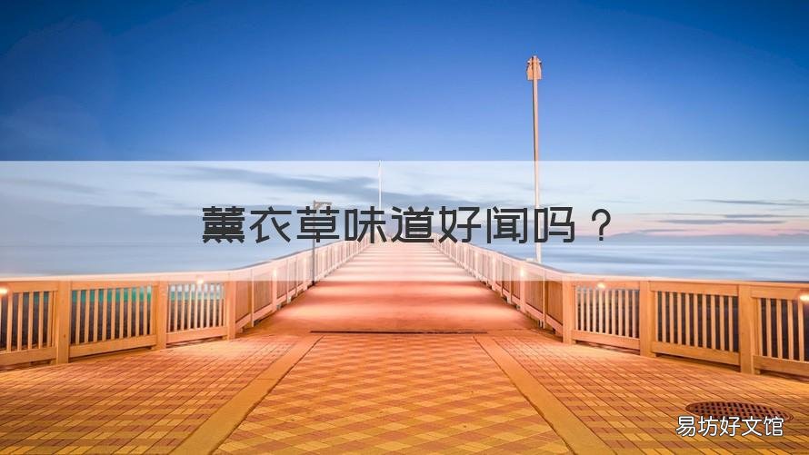 薰衣草味道好闻吗 薰衣草味道好闻吗女生