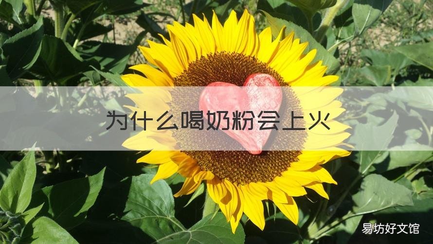 为什么喝奶粉会上火 为什么喝奶粉会上火,喝牛奶不会上火吗