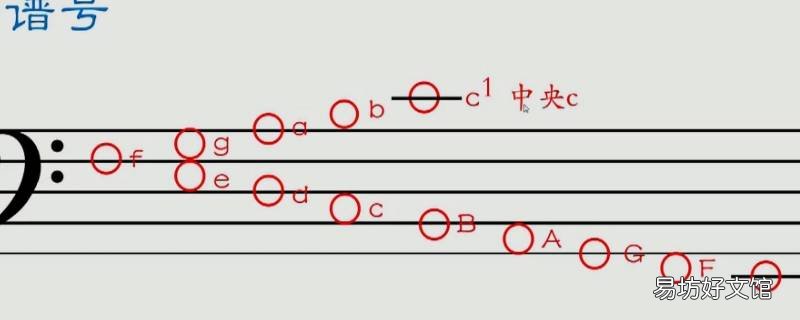 乐理音位是什么意思 乐理音高是什么意思
