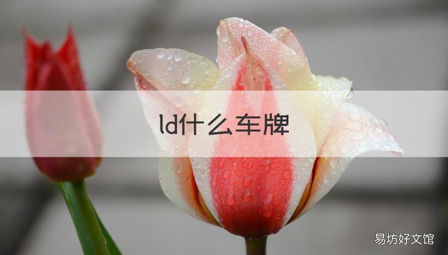 ld什么车牌 ld的车牌