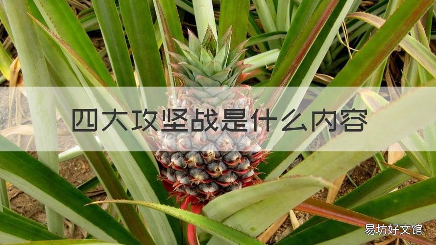 四大攻坚战是什么内容 四大攻坚行动是什么