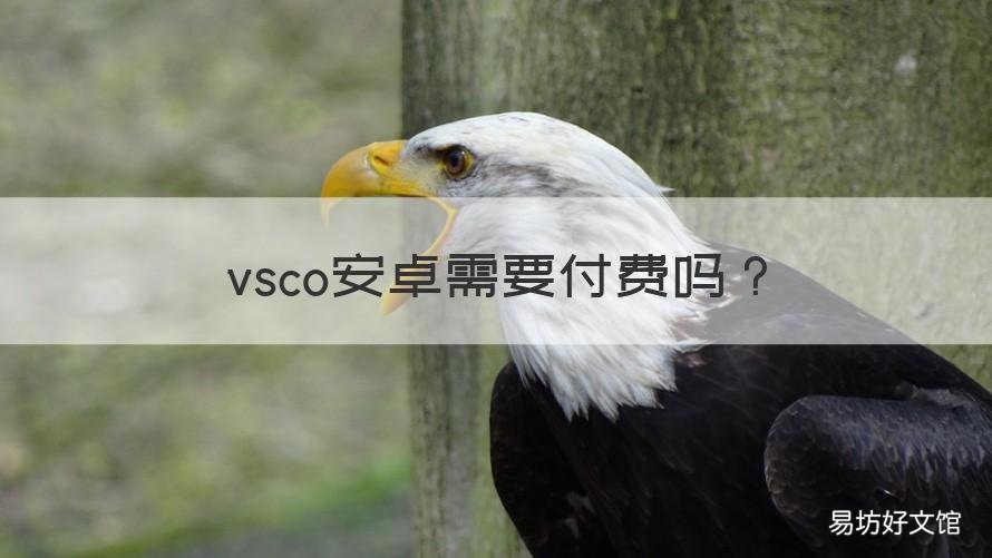 vsco安卓需要付费吗 vsco安卓能用吗