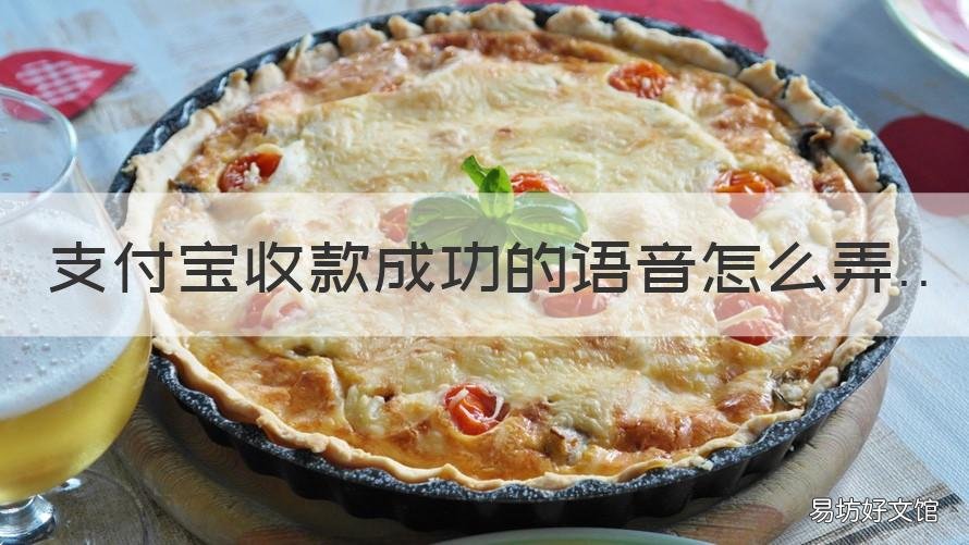 支付宝收款成功的语音怎么弄 怎样用支付宝收付款语音