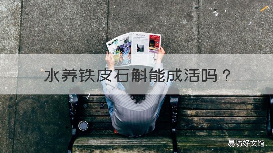 水养铁皮石斛能成活吗 铁皮石斛能用水养吗
