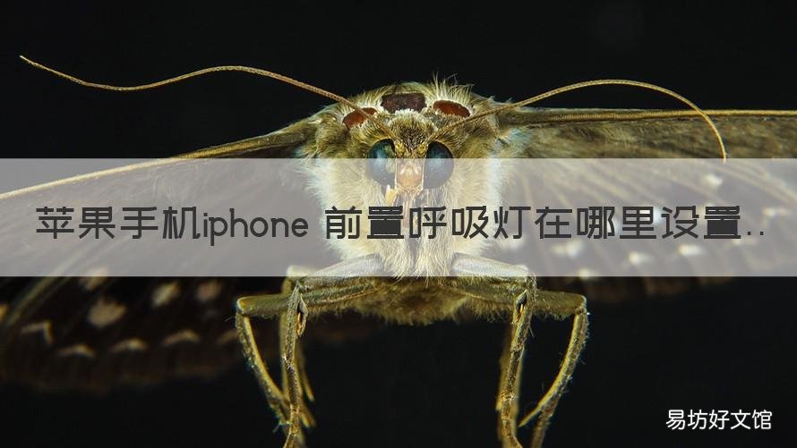 苹果手机iphone 前置呼吸灯在哪里设置 苹果的前置呼吸灯在哪里设置