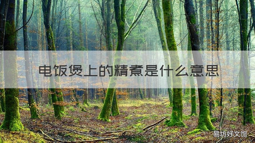 电饭煲上的精煮是什么意思 电饭煲上的精煮饭是什么意思