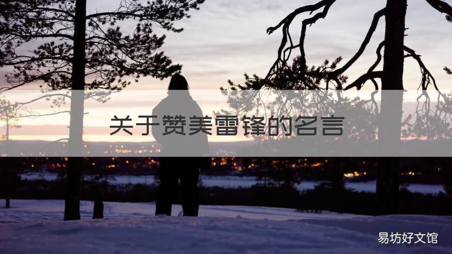 关于赞美雷锋的名言