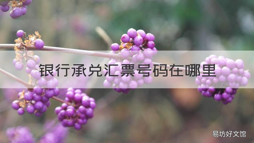 银行承兑汇票号码在哪里 银行承兑汇票的号码在哪