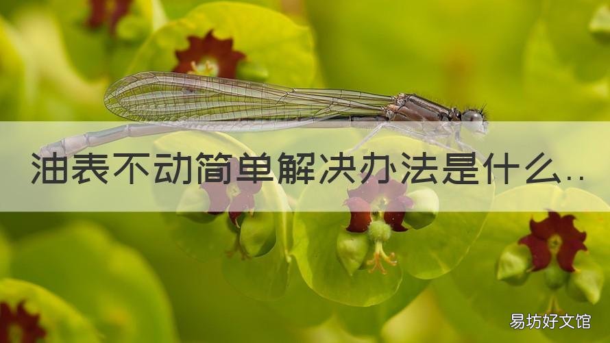油表不动简单解决办法是什么 油表加油后不动什么原因