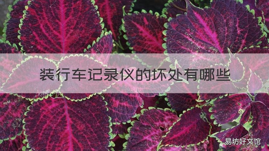 装行车记录仪的坏处有哪些 装行车记录仪好处和坏处