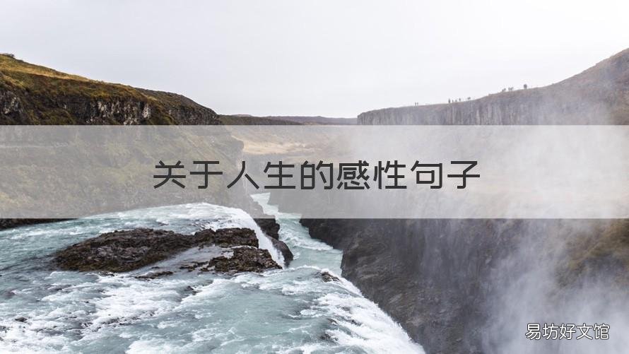 关于人生的感性句子 感语人生经典句子说说