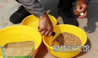 怎样自制鲢鳙饵料 怎样自制鲢鳙饵料视频教程