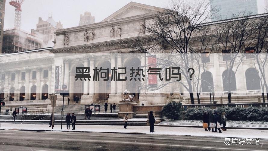 黑枸杞热气吗 黑枸杞有火气吗
