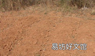 大田土壤板结怎么办 土壤板结严重怎么改善