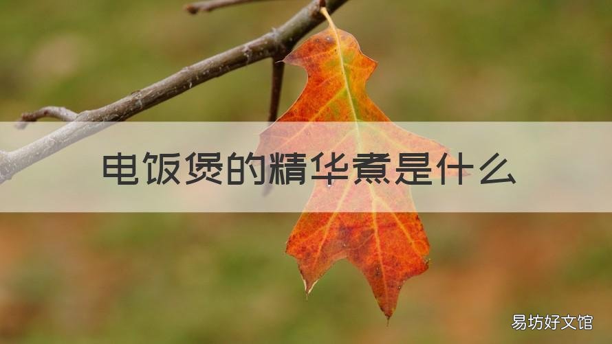 电饭煲的精华煮是什么 电饭煲的精华煮是什么意思