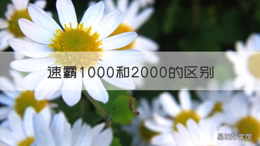 速霸1000和2000的区别 速霸1000与2000的区别