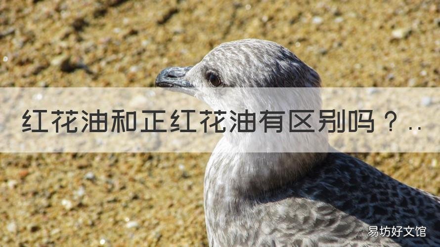 红花油和正红花油有区别吗 藏红花油和正红花油的区别